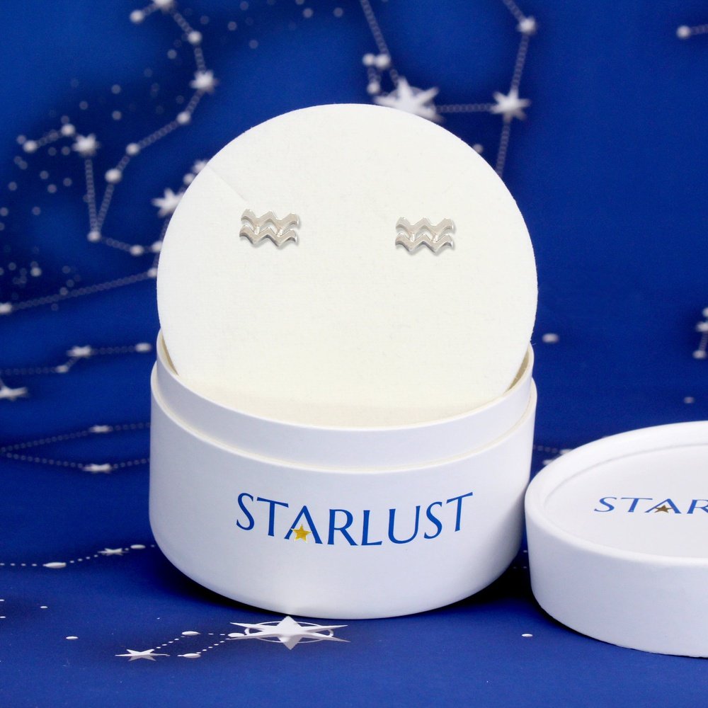 Aquarius Mix and Match Zodiac Stud Earrings Sterling Silver Starlust