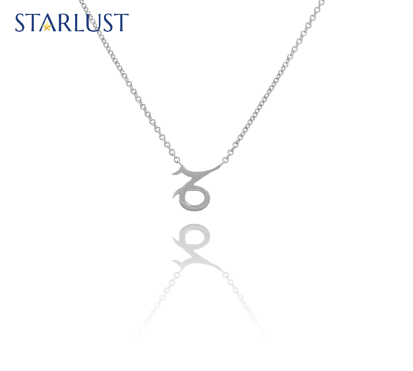 Capricorn Compatibility Necklace