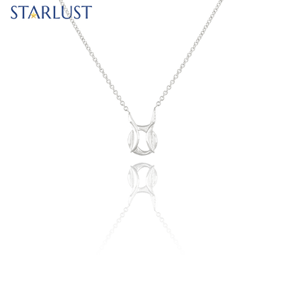Pisces and Taurus Necklace