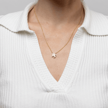 Pisces and Virgo Necklace