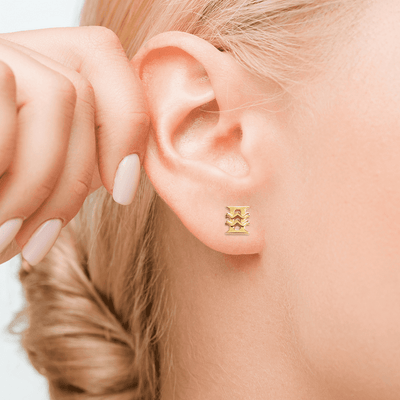 Aquarius and Gemini Stud Earrings