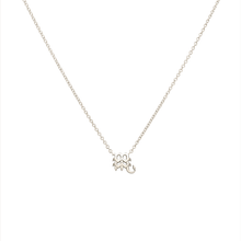 Aquarius and Scorpio Necklace Sterling Silver Starlust