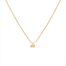 Aquarius and Capricorn Necklace Yellow Gold Starlust