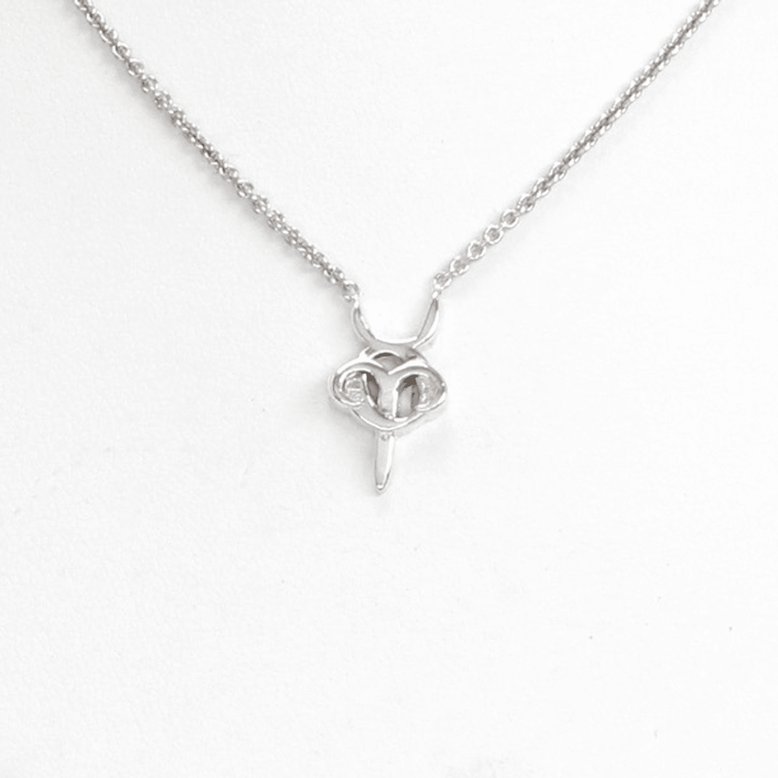Aries and Taurus Necklace