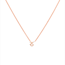 Capricorn Necklace Rose Gold Starlust