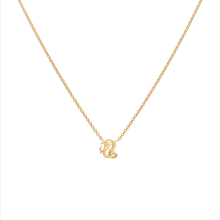 Capricorn and Leo Necklace