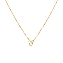 Capricorn and Sagittarius Necklace