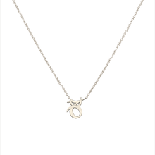 Capricorn and Taurus Necklace Platinum Starlust