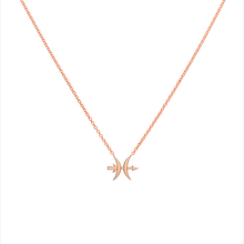 Pisces and Sagittarius Necklace