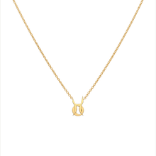 Pisces and Taurus Necklace